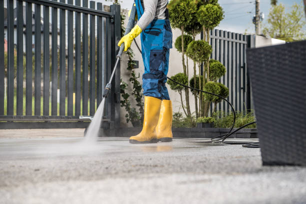Best Driveway Pressure Washing  in Wheaton, MD