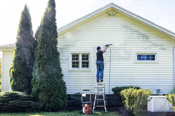 Best Roof Washing  in Wheaton, MD
